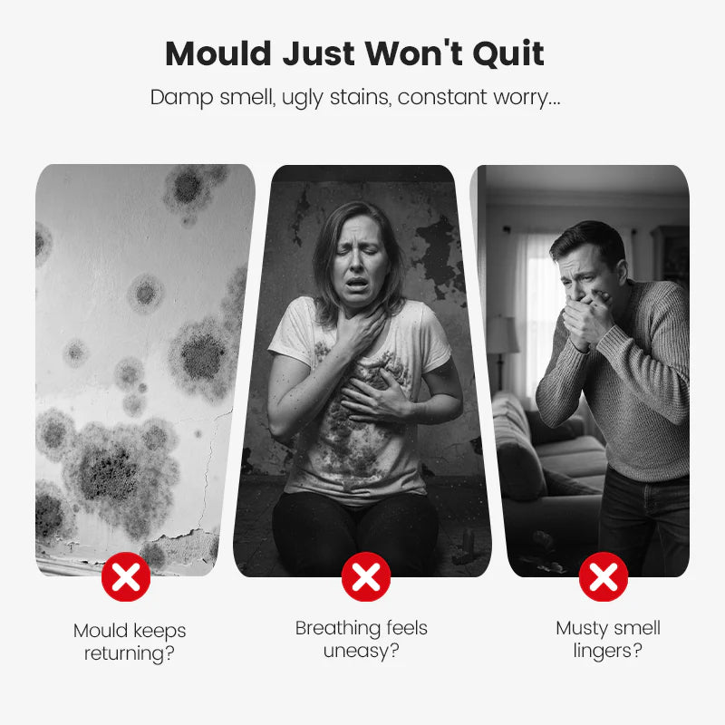 🔥Highly Effective Mould Removal Spray - Prevents Mould Regrowth.🛡️Save your and your family's health🏠