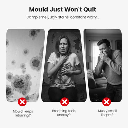 🔥Highly Effective Mould Removal Spray - Prevents Mould Regrowth.🛡️Save your and your family's health🏠