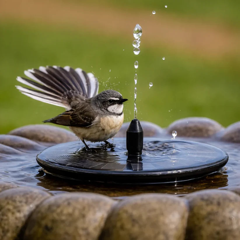 ☀️⛲Solar Water Fountain Pump – 4 Nozzles for Bird Bath & Garden (16cm / 6.3in)