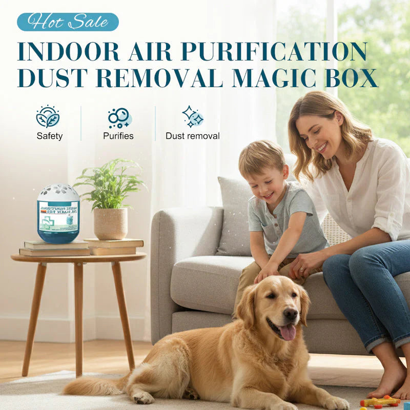 🏠2026 New Collection - Indoor Air Purification Dust Removal Magic Box🔥Bringing health to the family.👵👶